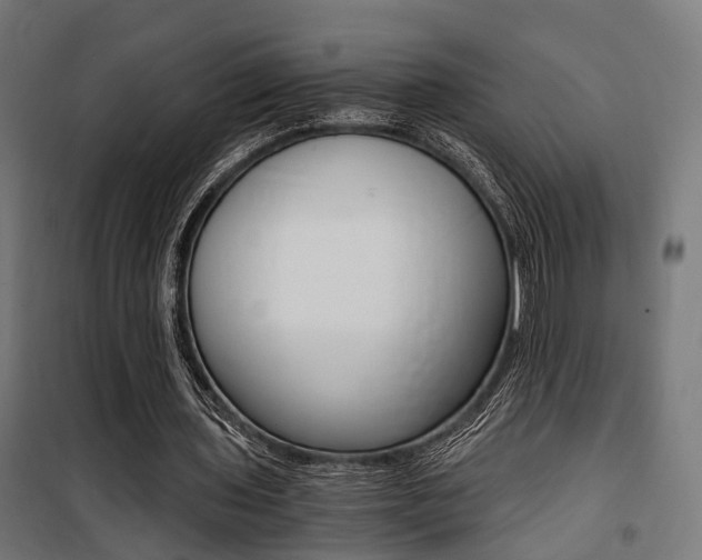 X0000100760435200806190913