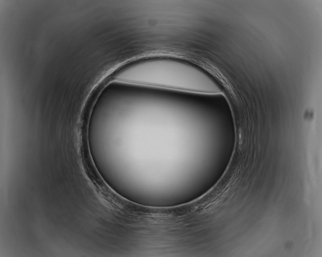 X0000100760436200806190913