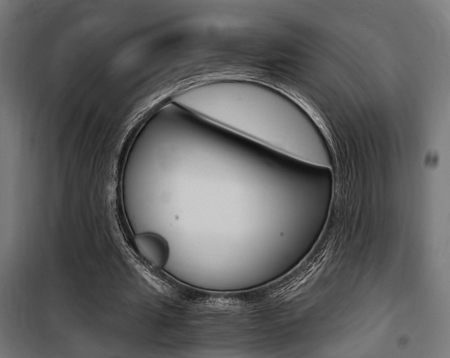 X0000100760437200806190913