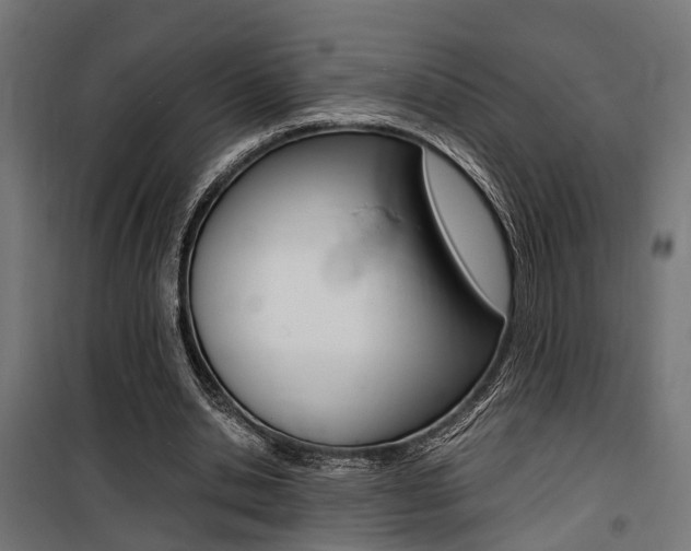 X0000100760438200806190913