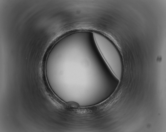 X0000100760439200806190913