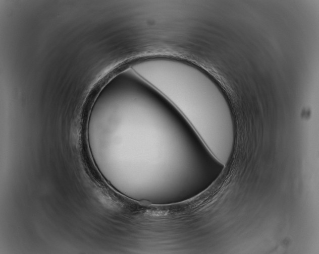 X0000100760440200806190913