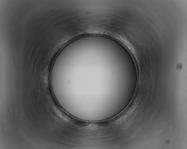 X0000100760441200806190913