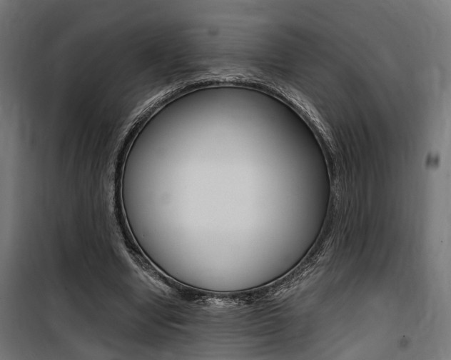 X0000100760442200806190913