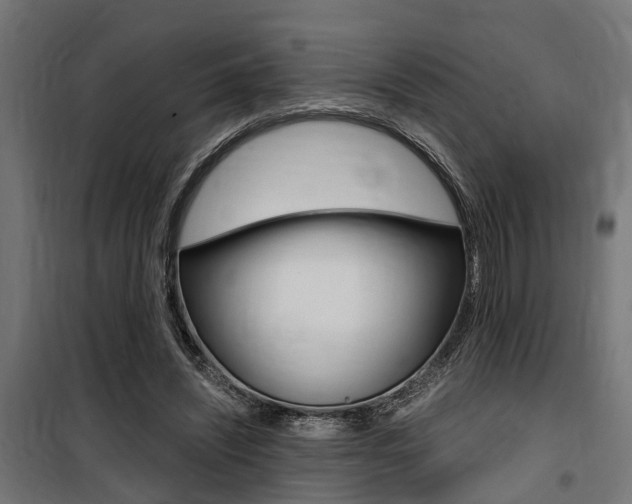 X0000100760444200806190913