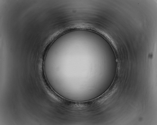 X0000100760445200806190913