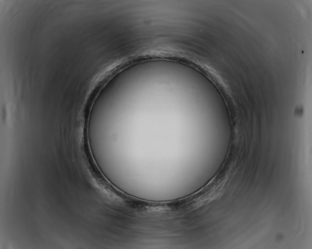 X0000100760446200806190913