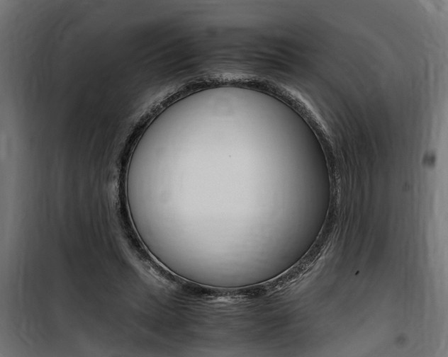 X0000100760447200806190913