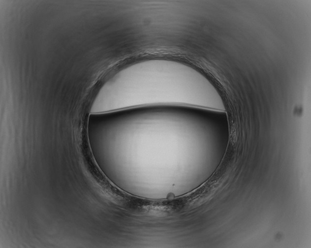 X0000100760448200806190913