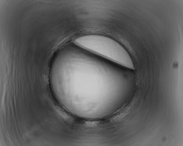 X0000100760450200806190913