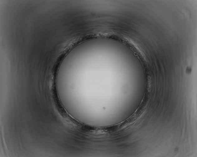 X0000100760451200806190913