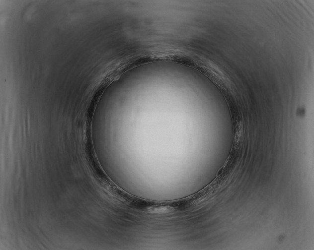 X0000100760452200806190913