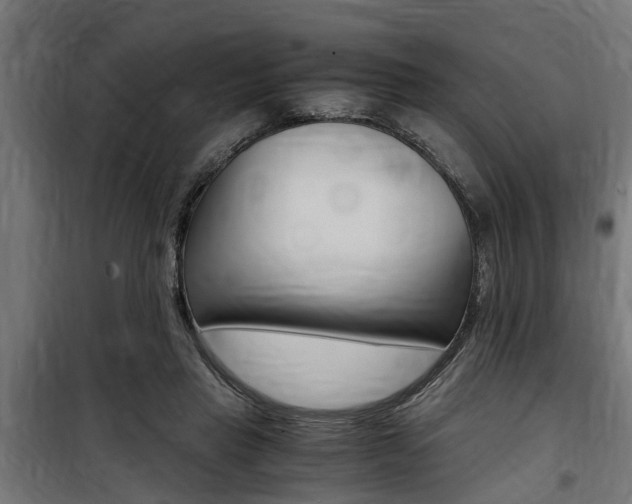 X0000100760453200806190913