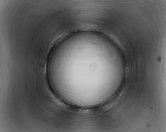 X0000100760454200806190913