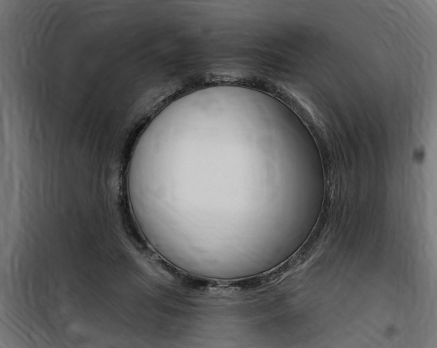 X0000100760455200806190913