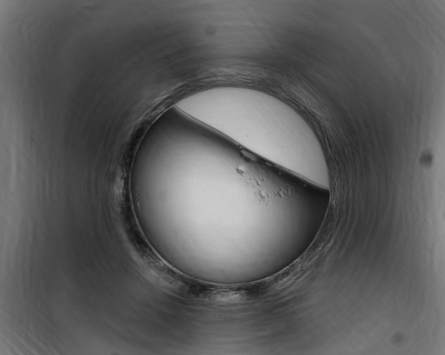 X0000100760456200806190913