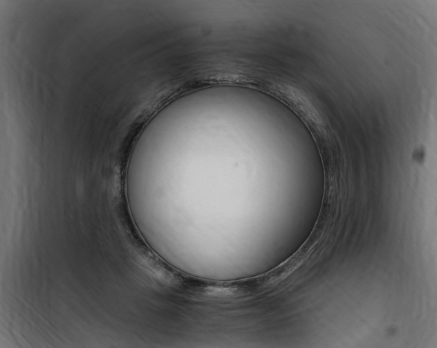 X0000100760457200806190913