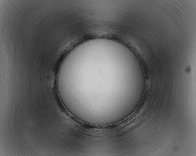 X0000100760458200806190913