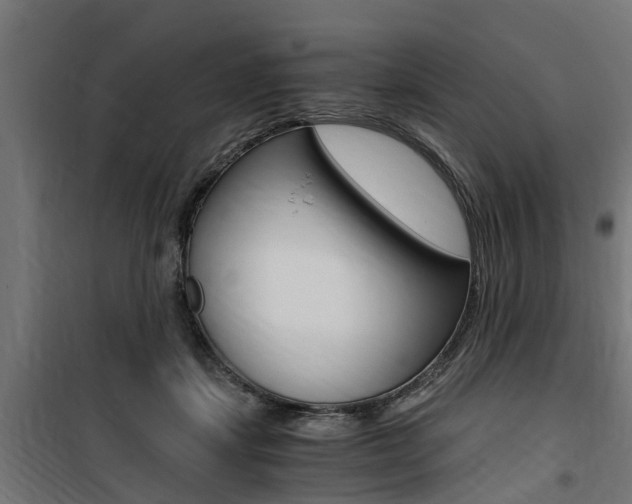 X0000100760459200806190913