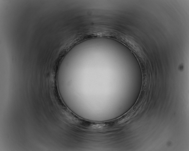 X0000100760461200806190913