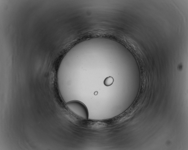 X0000100760463200806190913