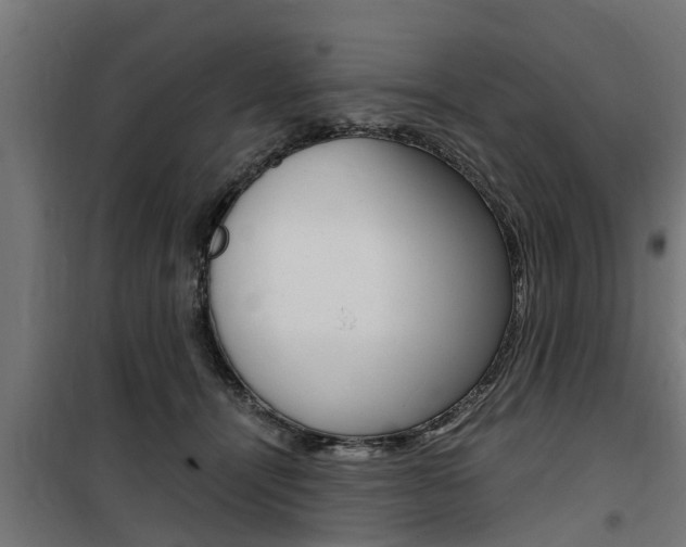 X0000100760464200806190913