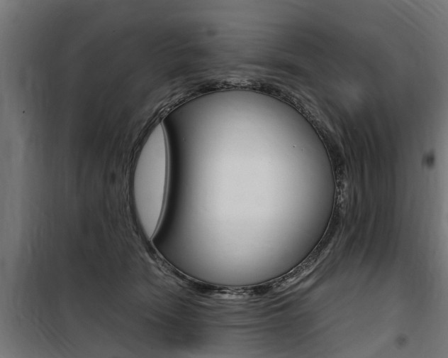 X0000100760466200806190913