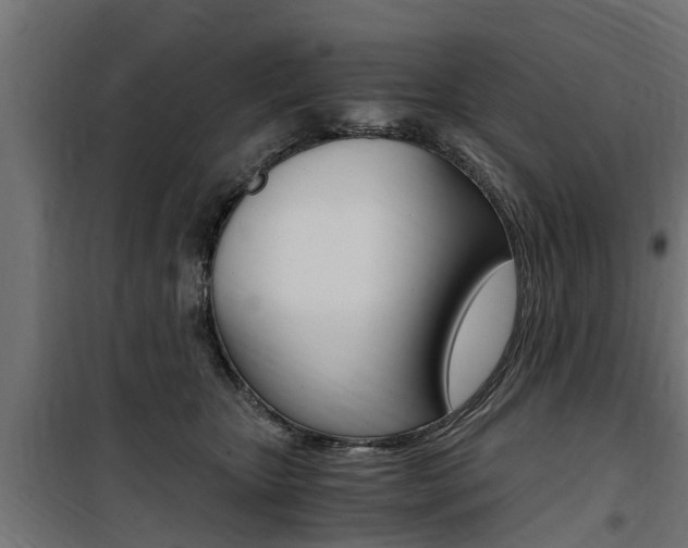 X0000100760467200806190913