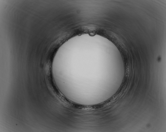 X0000100760468200806190913