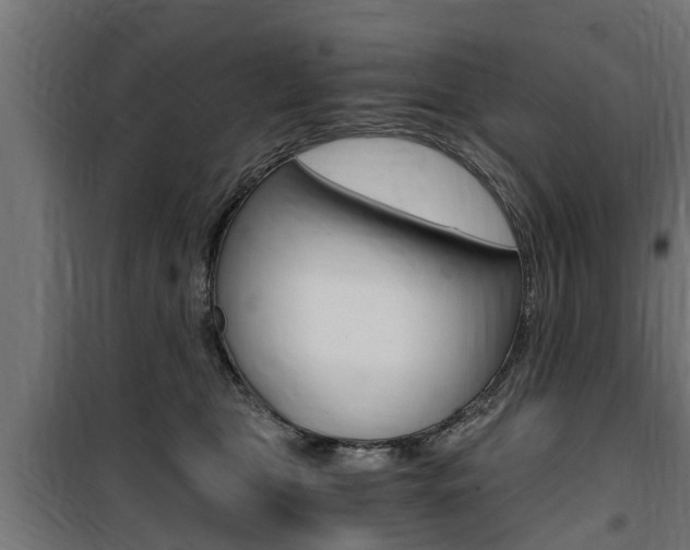 X0000100760469200806190913