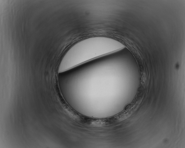 X0000100760470200806190913