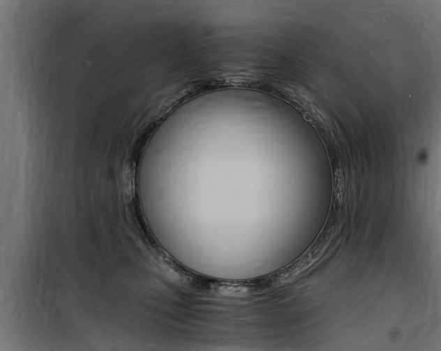 X0000100760471200806190913