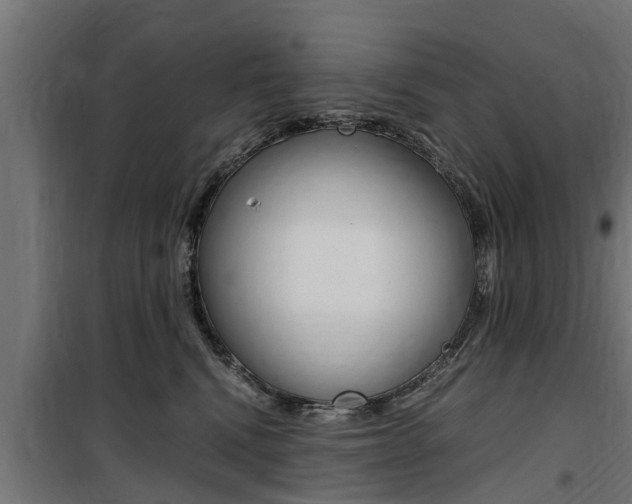 X0000100760472200806190913