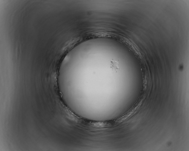 X0000100760473200806190913