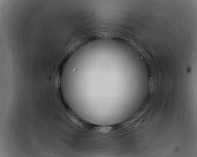 X0000100760474200806190913