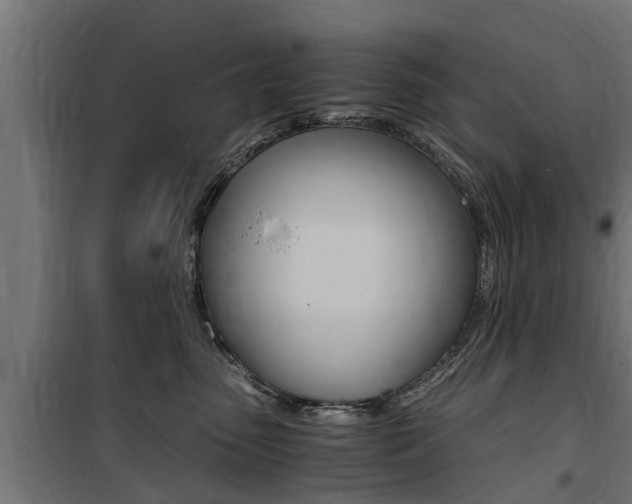 X0000100760475200806190913