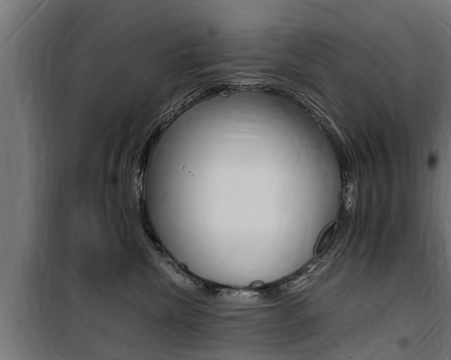 X0000100760476200806190913