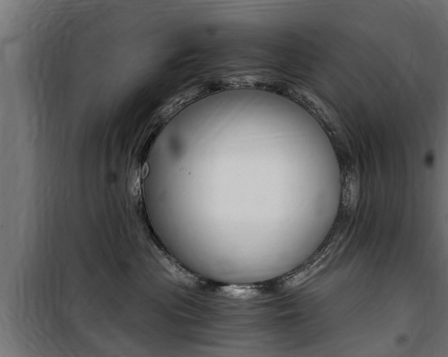 X0000100760477200806190913