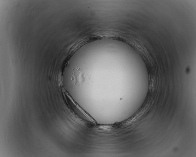 X0000100760478200806190913