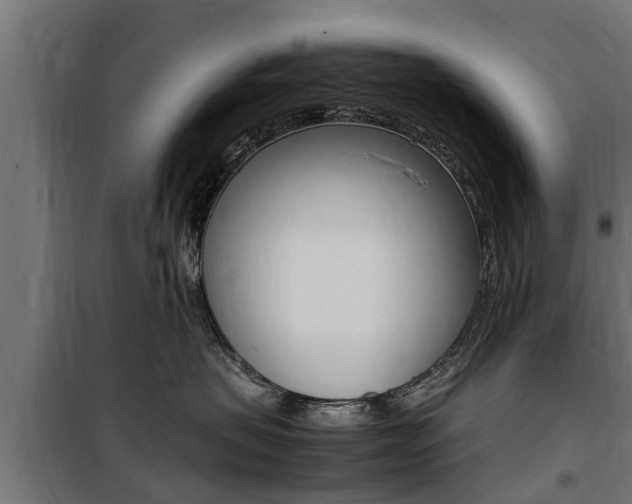 X0000100760479200806190913