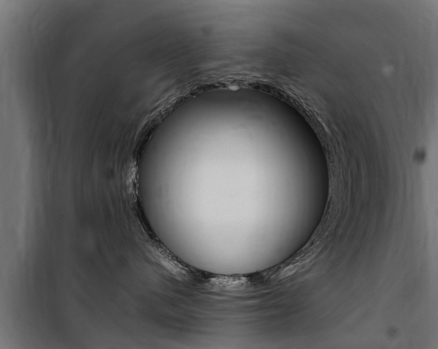 X0000100760480200806190913