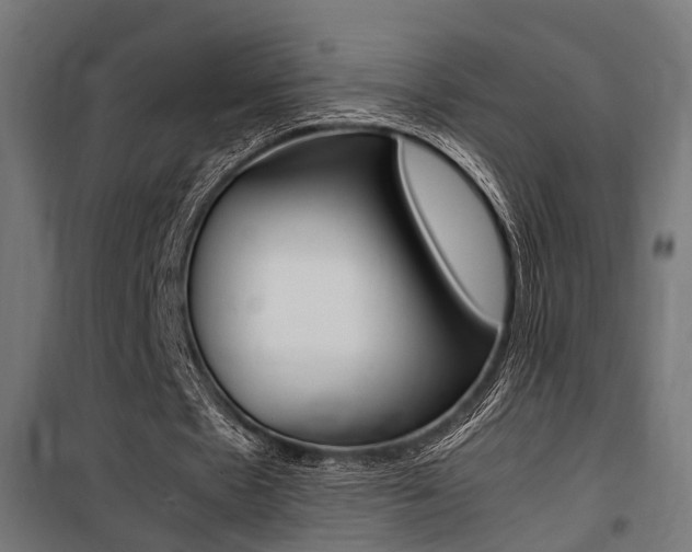 X0000100760481200806190913