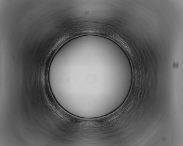 X0000100760482200806190913