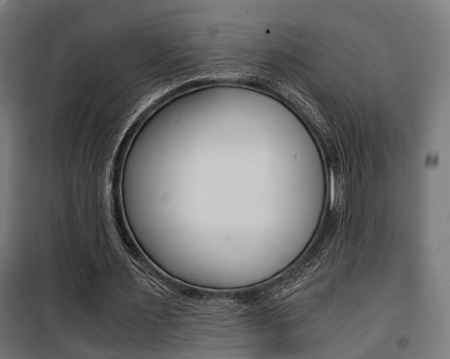 X0000100760483200806190913