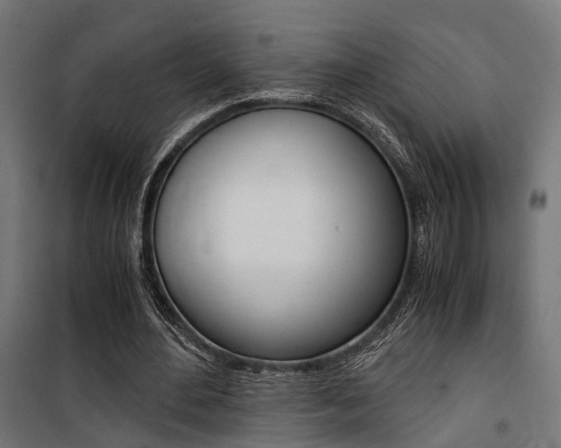 X0000100760484200806190913