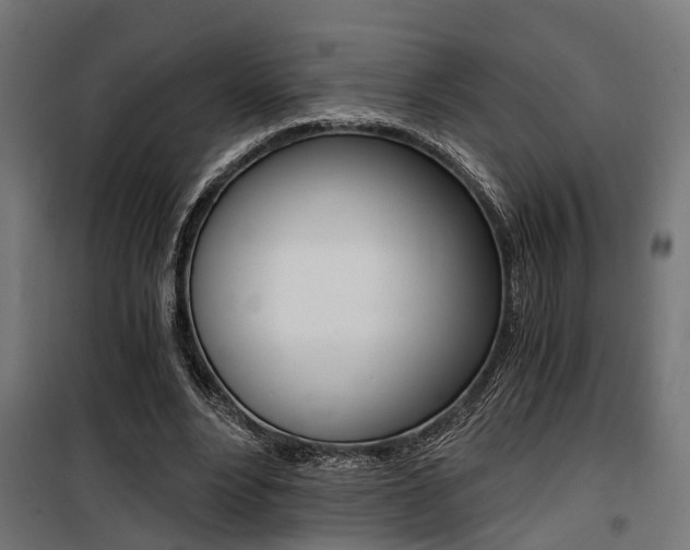 X0000100760488200806190913