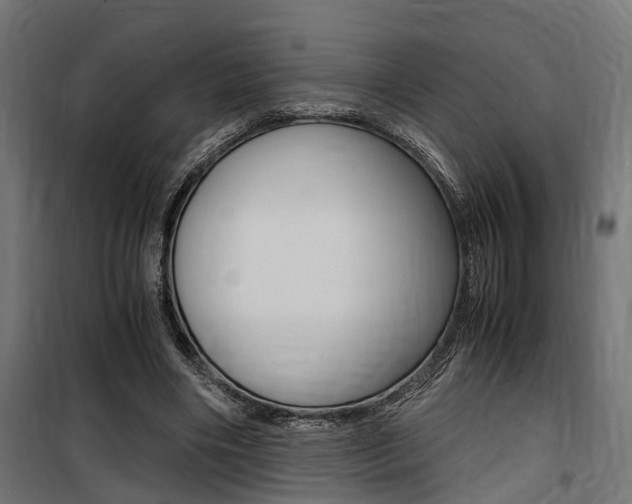 X0000100760490200806190913