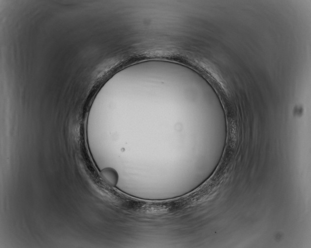 X0000100760491200806190913