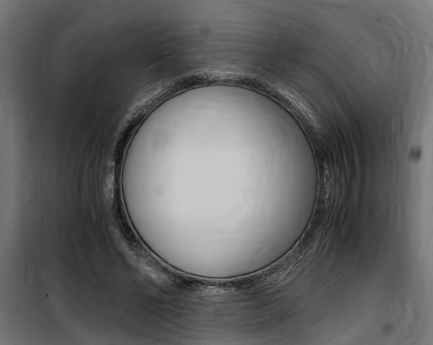 X0000100760494200806190913