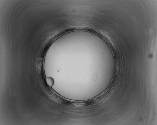 X0000100760495200806190913